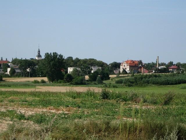 Błaszki widziane z wąwozu Chrzanowice