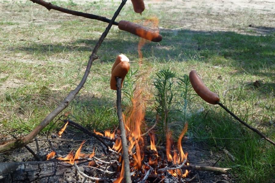 Płonie ognisko płonie, kiełbasa ducha zionie