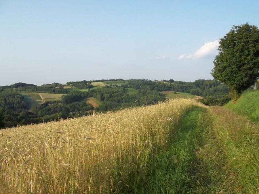 Mini Bieszczady