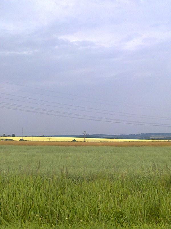 piżdżący żółty
