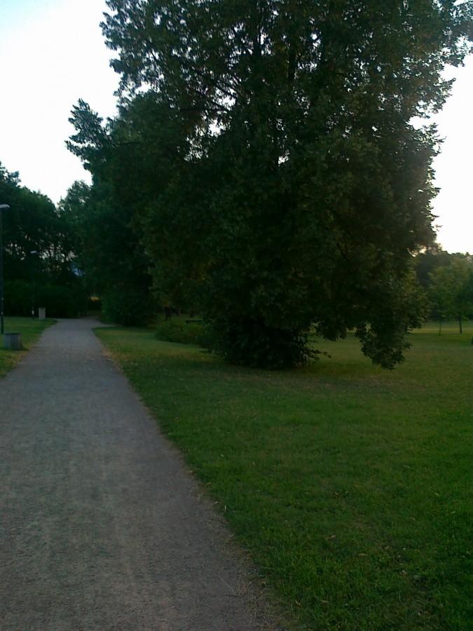 Park na Kole