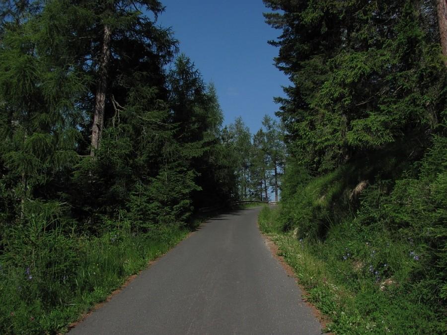 do 1300m npm asfalcik jest super