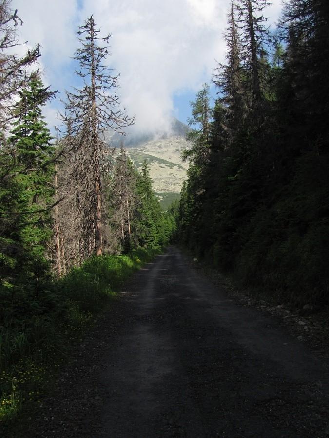 ponad 1500m npm robi się szutrowo