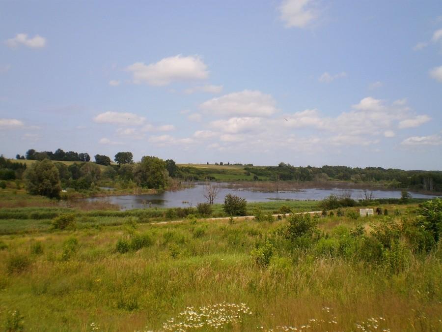 Pradolina Rzeki Cybiny