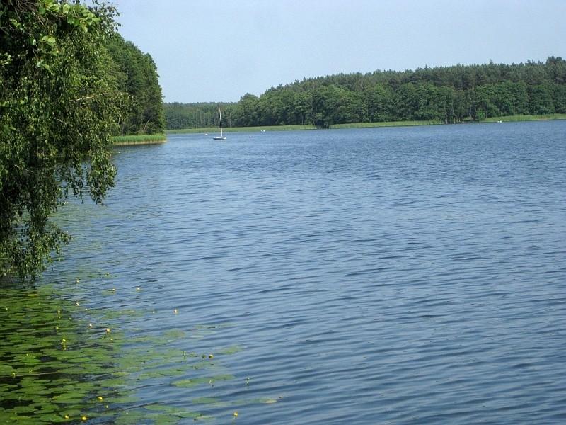 Widok z mojego drzewa do skakania na Jezioro Stęszewskie