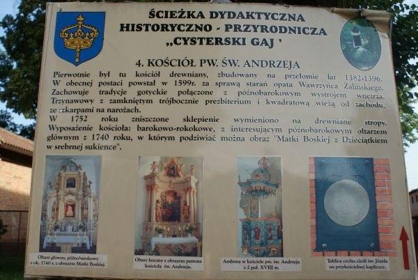 ścieżka dydaktyczna "Cysterski Gaj"