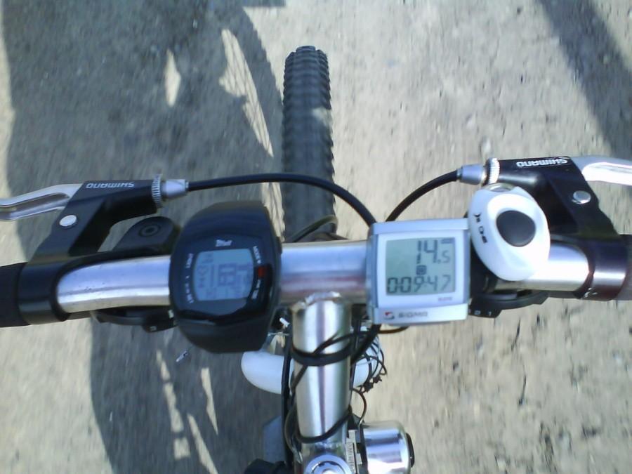 Pulsometr Crivit Sports