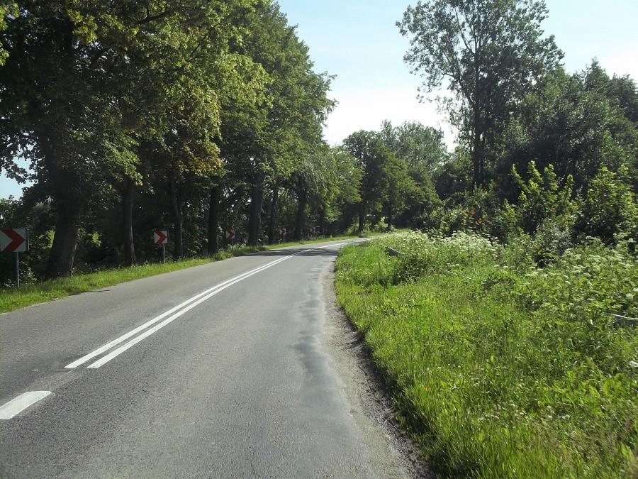 Niby nic szczególnego, ale to był najwyższy punkt trasy (ok 230 m.n.p.m)