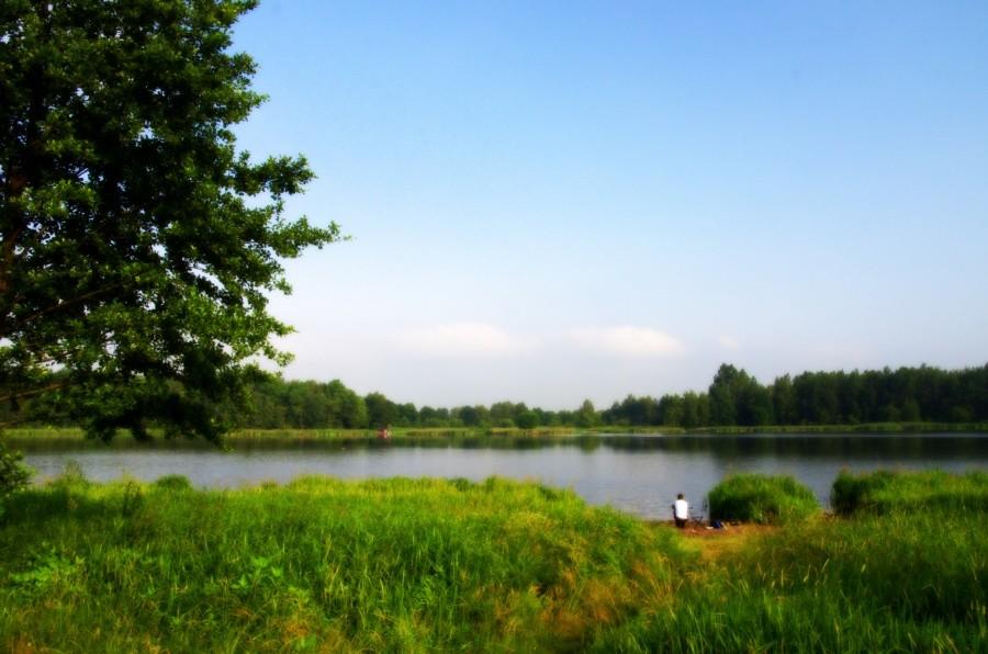 Staw w pobliżu Borowej Wsi