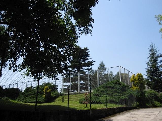 Korty tenisowe