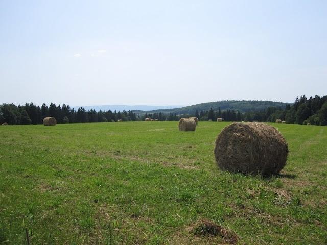 Sianokosy