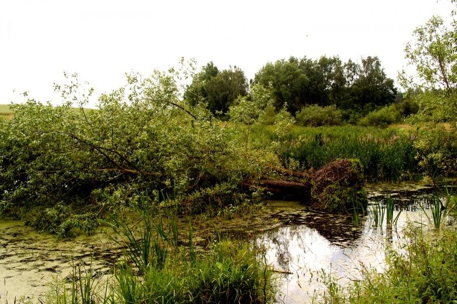Efekty nawałnicy