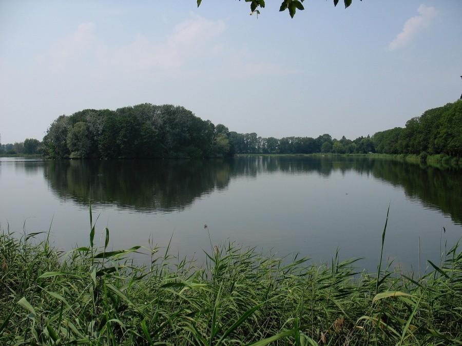 Staw Falencki
