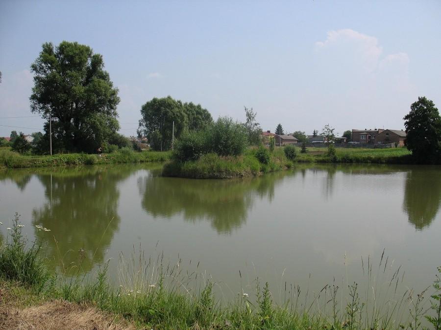 Łady - staw