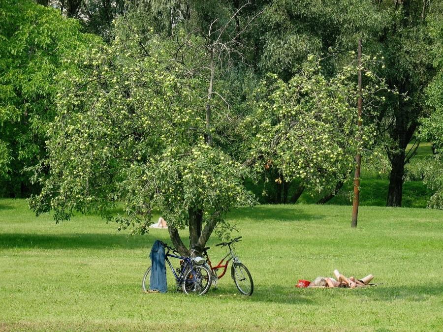 Plaża nad Potokiem Służewieckim