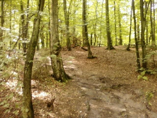 Zjazd nad Łagiewniczankę