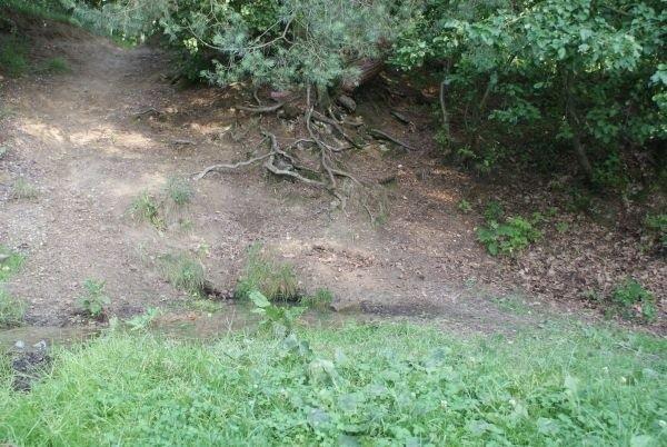 źródło w Smardzewicach