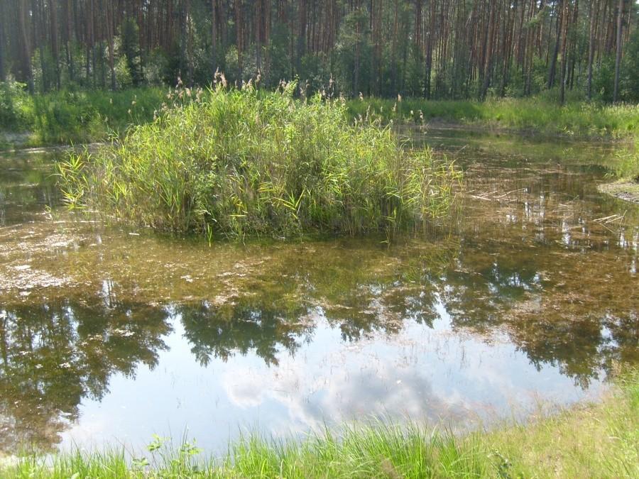 PPoż zbiornik wodny