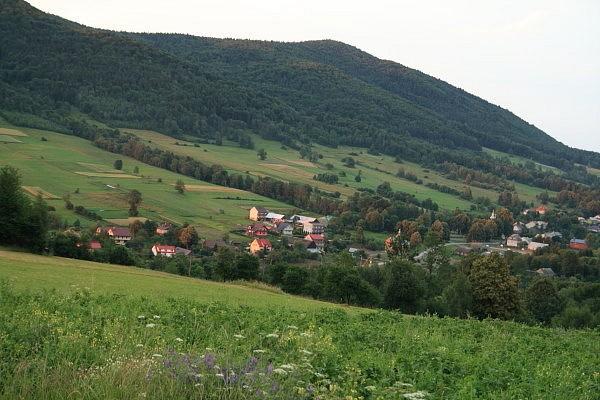 Bogusza