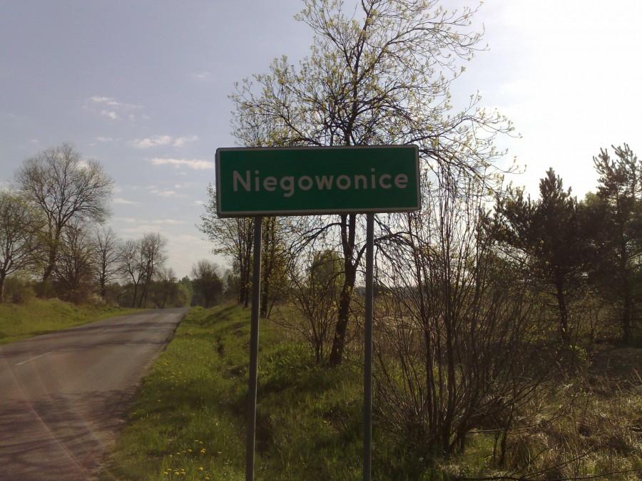 Wjazd do Niegowonic