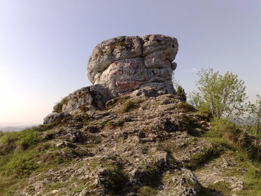 Niegonowice skały
