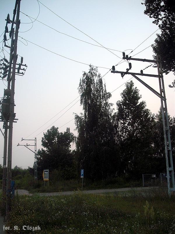 Ślady EKD