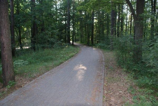 ciąg pieszo-rowerowy Tomaszów-Spała //dziś o dziwo lekko tłoczno na nim//