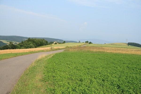 Widok ze wzgórza nad Jasienną