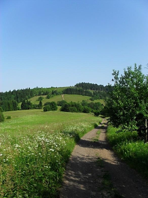 W Górach Sowich