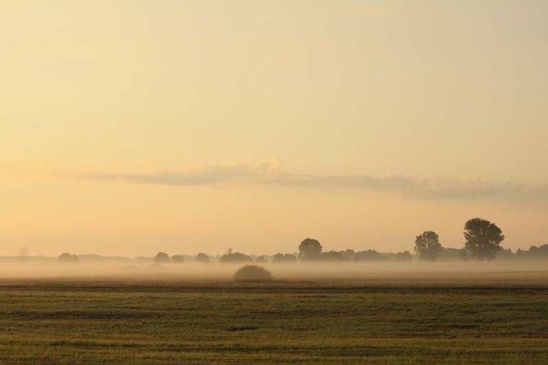 Poranne mgły.