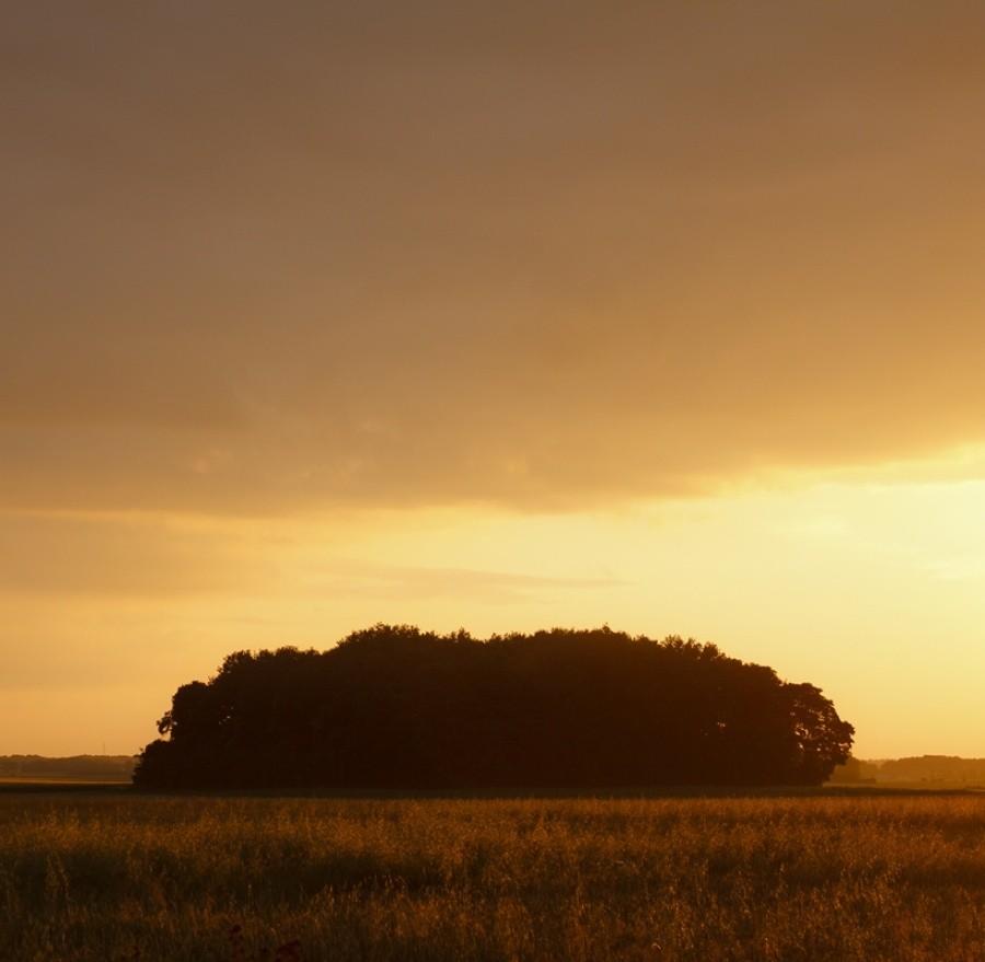 Słońce się kładzie.