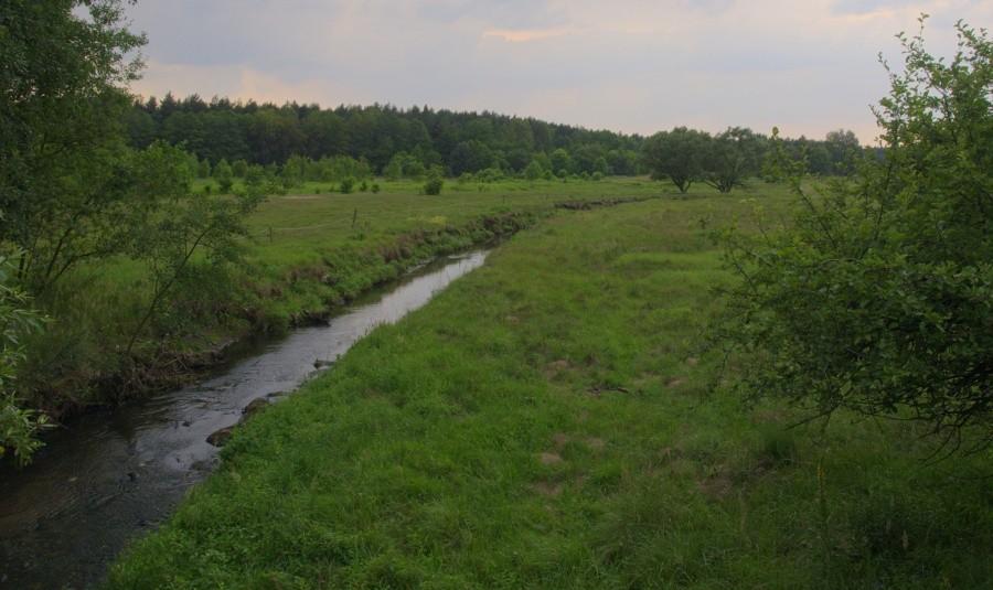 Kłodnica w okoliach Panewnik
