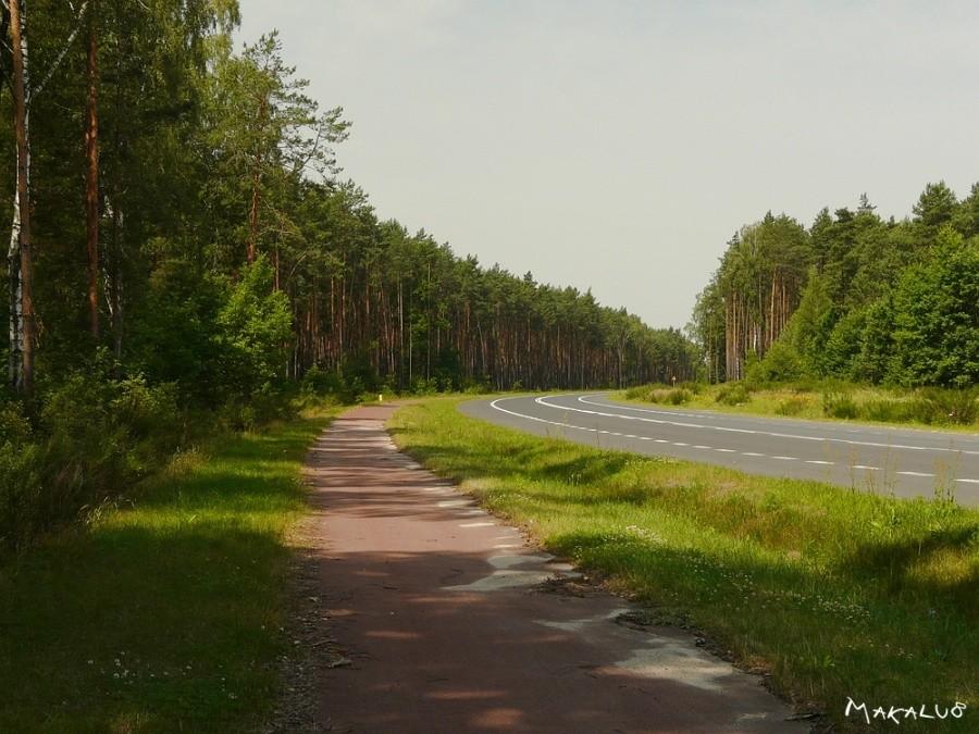 Ścieżki rowerowe najbogatszej polskiej gminy