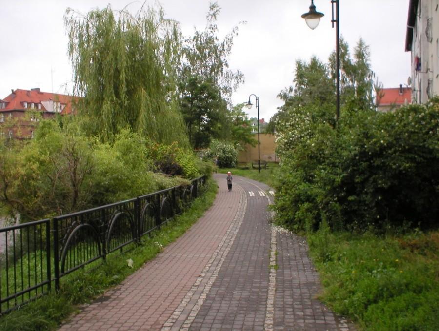 ZIELONO MI