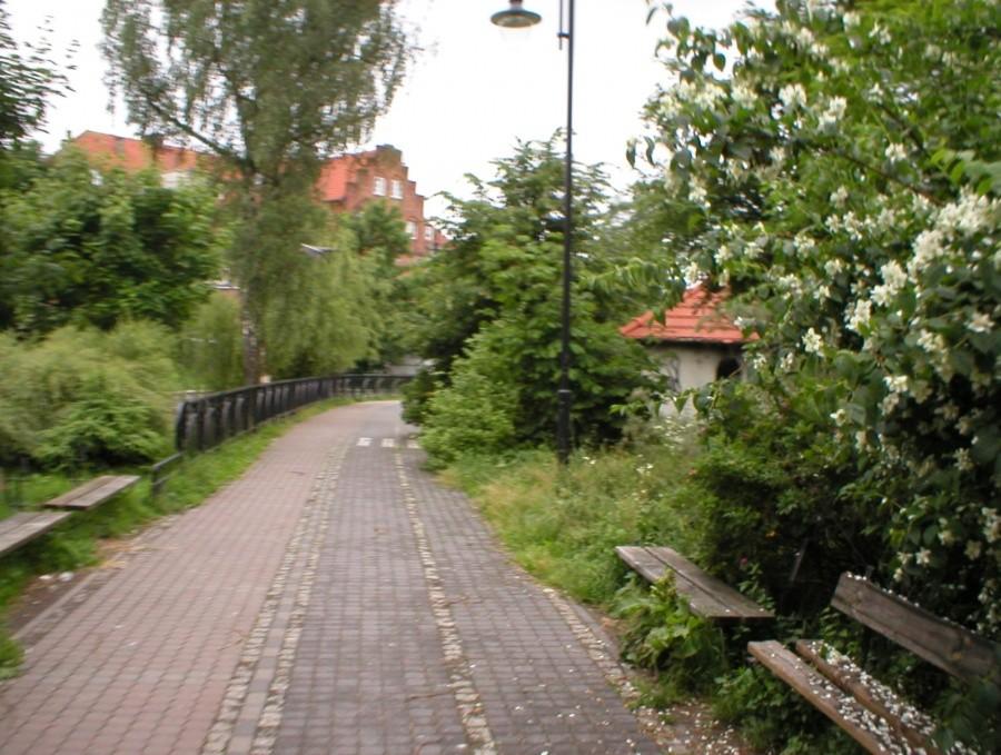 ZIELONO MI