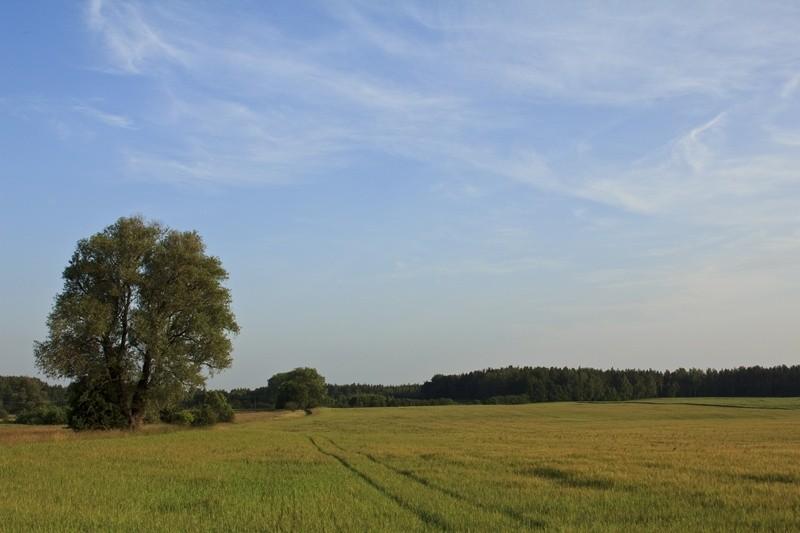 Zbliża się wieczór.