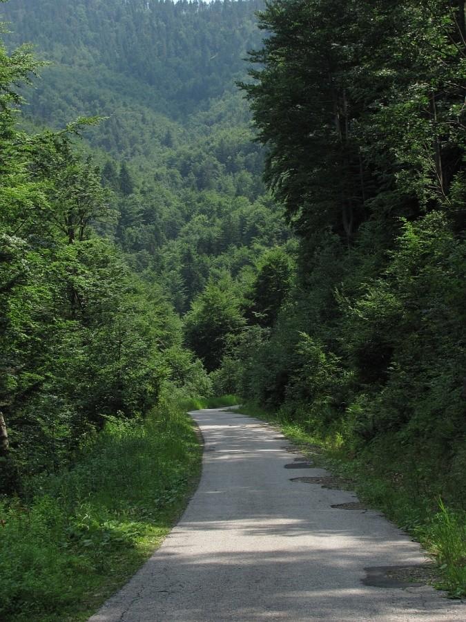 mocna 10tka widziana z góry