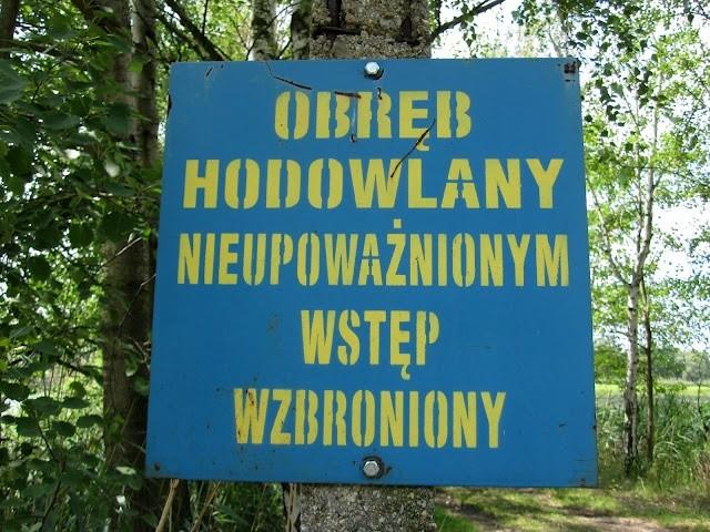 Za daleko nie wchodzić