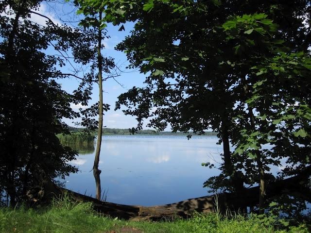 Zachwycające