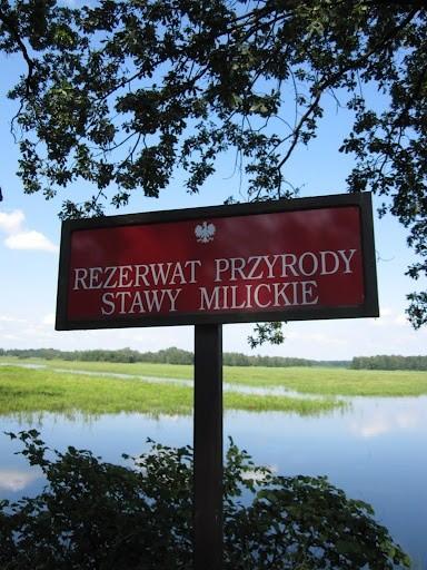 Rezerwat Przyrody Stawy Milickie