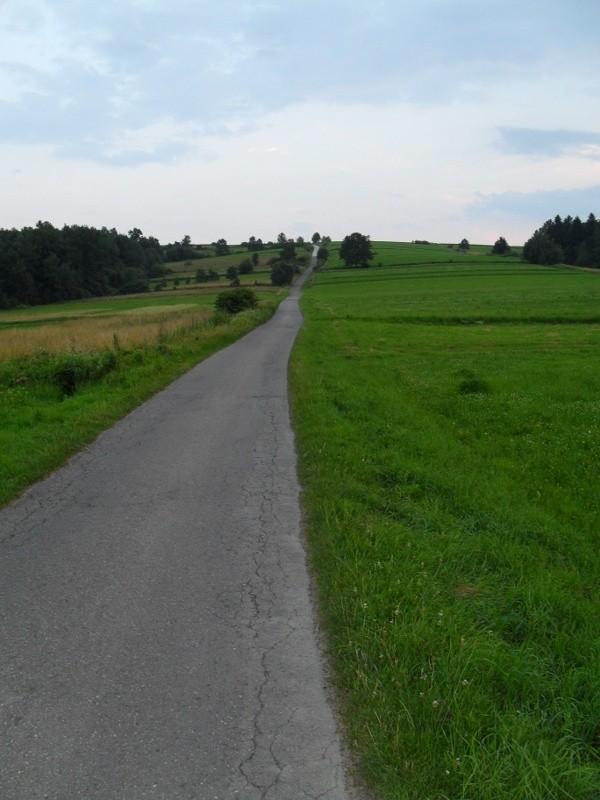 Podjazd przed Grybowem