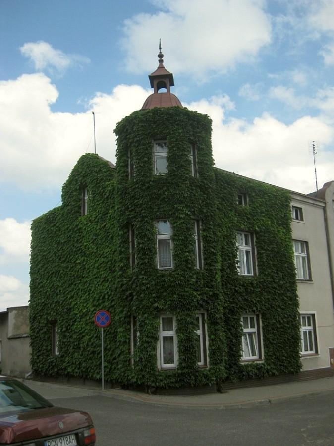 Ciekawie zarośnięty budynek w Pobiedziskach