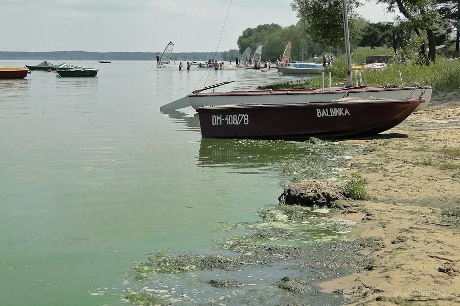 czy to o tym wieszcz pisał "nurza się w zieloność i jak łódka brodzi"?