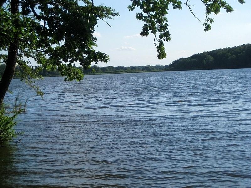 Widok na Jezioro Swarzędzkie