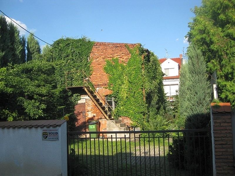 lubię takie obrośnięte zakątki miasta