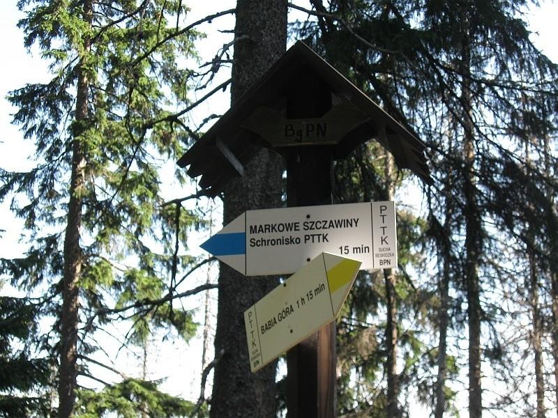 Pełen obaw wybieram żółty.