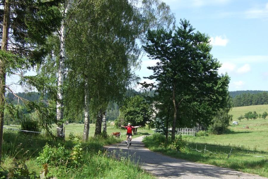 Od pewnego momentu myślałem o słodkich soczystych czereśniach i nagle moim oczą ukazał się widok jak z bajki.