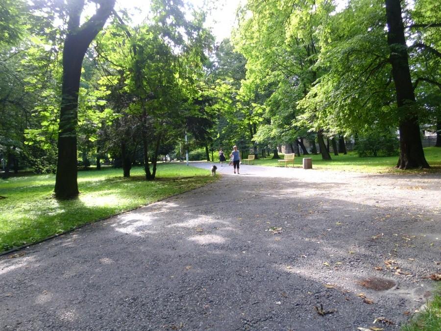 Siemianowice: Park Miejski