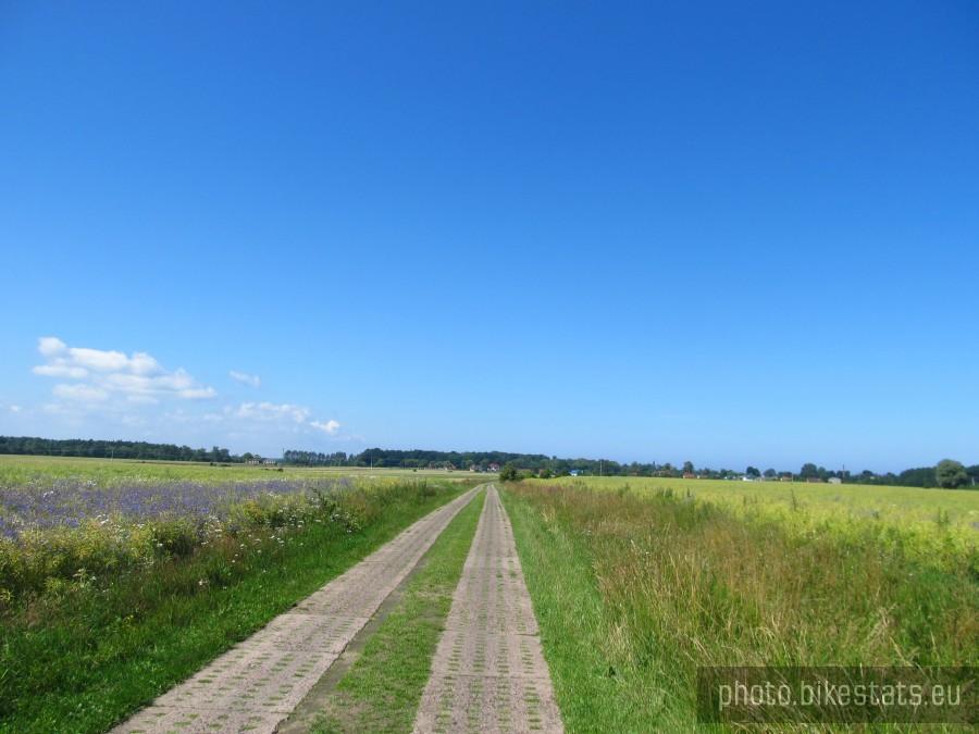 cholerne płyty