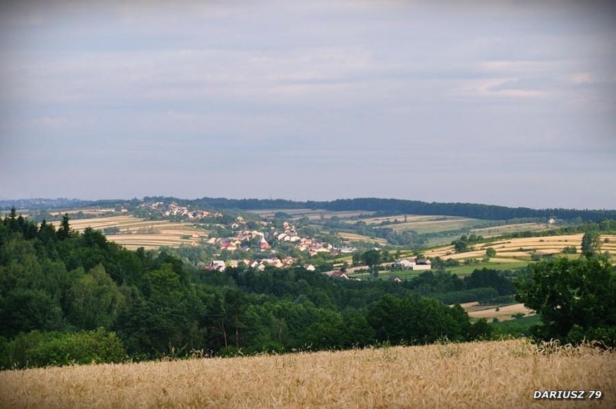Krajobraz Brzeznicy